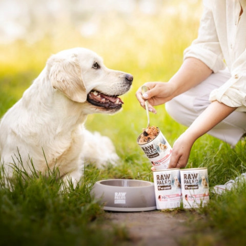 RAW PALEO Adult Monoprotein Pork – Nassfutter für Hunde – 400 g - Fotogalerie 3