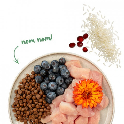 BOSCH Sanabelle Sensitive mit Lamm – Trockenfutter für Katzen – 8 kg (4x2 kg) - Fotogalerie 2