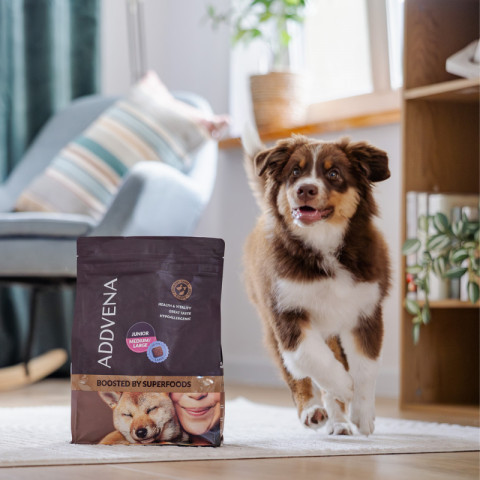 ADDVENA Boosted by superfoods Junior Medium/Large Beef - trockenfutter für Hunde - 2,5kg - Fotogalerie 2