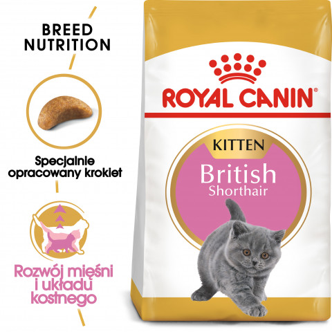 Royal Canin British Shorthair Kitten Katzen-Trockenfutter 2 kg Geflügel, Reis, Gemüse - Fotogalerie 8