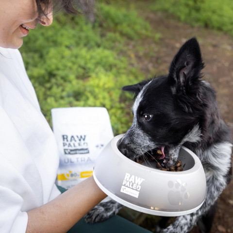 RAW PALEO Ultra Medium&Large Puppy Turkey – Trockenfutter für Welpen – 2 kg - Fotogalerie 3