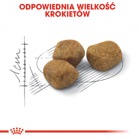 Royal Canin Regular Fit 32 Katzen-Trockenfutter 400 g Adult Mais, Geflügel - Fotogalerie 6
