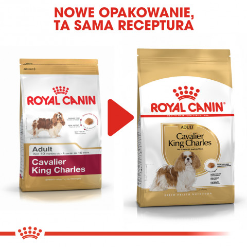 Futter Royal Canin SHN Rasse Cavalier K C 1,5 kg - Fotogalerie 2