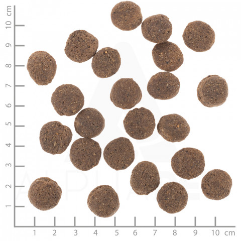 WOLFSBLUT VetLine Hypoallergenic Horse - trockenfutter für Hunde - 12kg - Fotogalerie 2