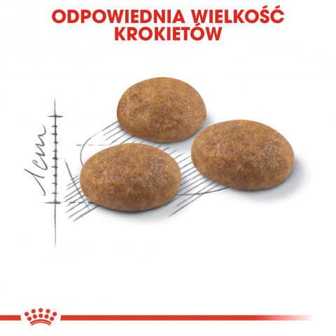 Royal Canin Outdoor Trockenfutter für Katzen 2 kg - Fotogalerie 8