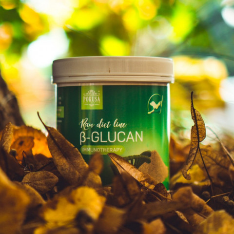 POKUSA RawDietLine Beta-Glucan - nahrungsergänzungsmittel für hunde und katzen - 250g - Fotogalerie 2