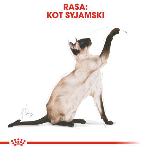 ROYAL CANIN Siamese Adult - Trockenfutter für Katzen - 2 kg - Fotogalerie 7