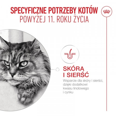 ROYAL CANIN Ageing 11+ - trockenfutter für Katzen - 400g - Fotogalerie 3