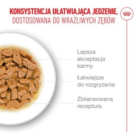 ROYAL CANIN Ageing 11+ Chunks in gravy - nassfutter für Katzen - 12x85g - Fotogalerie 6