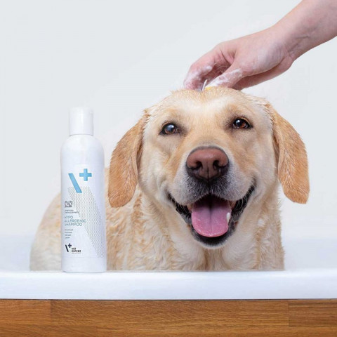 VET EXPERT Hypoallergenes Shampoo – Shampoo für Hunde und Katzen – 250 ml - Fotogalerie 2