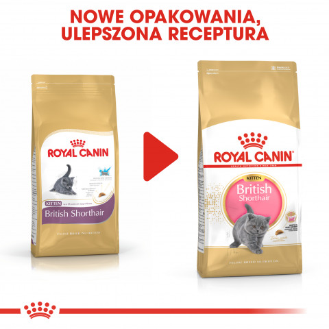 Royal Canin British Shorthair Kitten Katzen-Trockenfutter 2 kg Geflügel, Reis, Gemüse - Fotogalerie 4