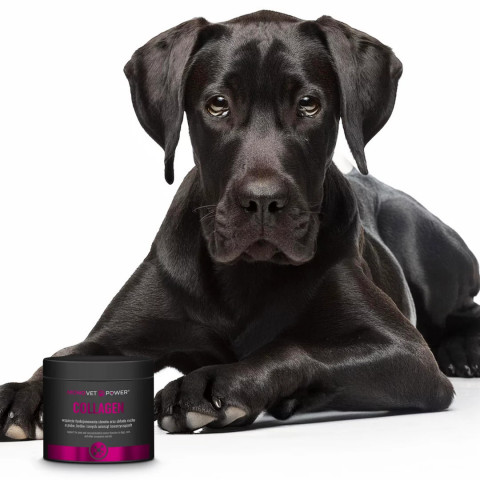 JM SANTE Monovet Power Collagen - nahrungsergänzungsmittel für hunde und katzen - 120g - Fotogalerie 2