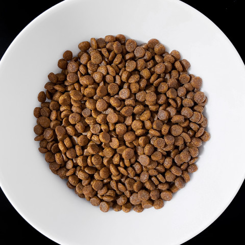 VET RESPONSE Gastrointestinal - trockenfutter für Katzen - 400g - Fotogalerie 2