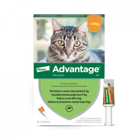 ELANCO Advantage 40 - Flohtropfen für Katzen - 4 Stück - Fotogalerie 1