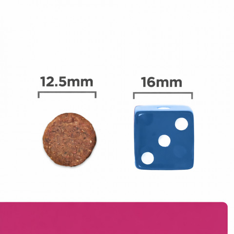 HILL'S Prescription Diet Gastrointestinal Biome mit Huhn – Trockenfutter für Hunde – 10 kg - Fotogalerie 2