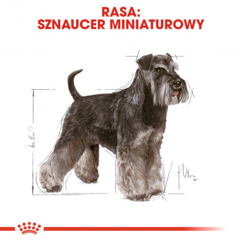 ROYAL CANIN Miniature Schnauzer Adult - Trockenfutter für Hunde - 3 kg - Fotogalerie 7