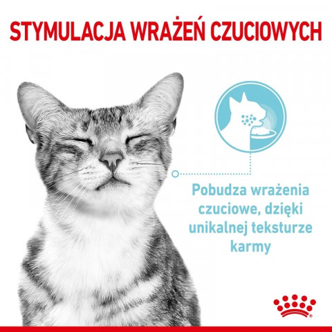 ROYAL CANIN Sensory Feel - nassfutter für Katzen - 12x85g - Fotogalerie 5