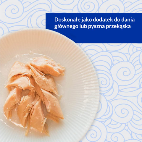 INABA Grilled Chicken Extra tender fillet in scallop flavored broth - Katze behandeln - 25 g - Fotogalerie 7