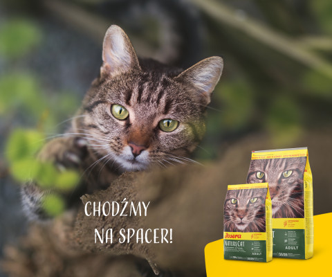 Josera NatureCat Katzen-Trockenfutter 2 kg Adult Geflügel, Lachs - Fotogalerie 3