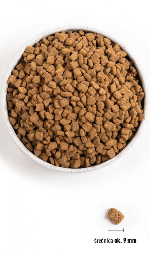 ORIJEN Small breed - trockenfutter für Hunde - 1,8kg - Fotogalerie 2