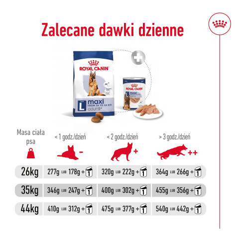 ROYAL CANIN Maxi Adult 5+ - Trockenfutter für Hunde - 15 kg - Fotogalerie 5