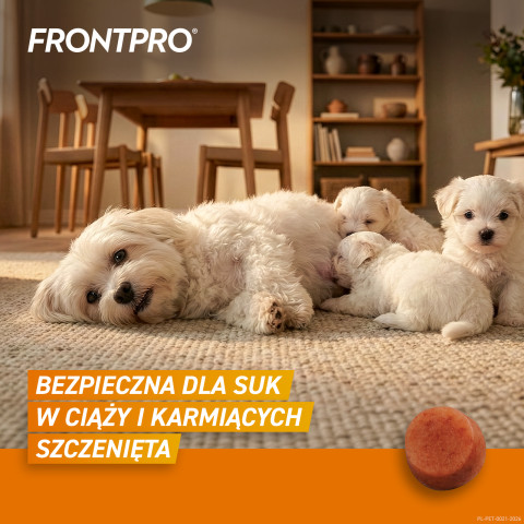 FRONTPRO Floh- und Zeckentabletten für Hund (2-4 kg) - 3x 11,3mg - Fotogalerie 4