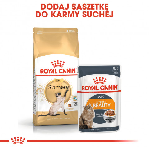 ROYAL CANIN Siamese Adult - Trockenfutter für Katzen - 2 kg - Fotogalerie 4