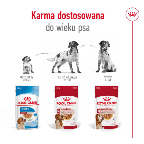 ROYAL CANIN SHN Medium Adult in Sauce - Nassfutter für ausgewachsene Hunde - 10x140g - Fotogalerie 9