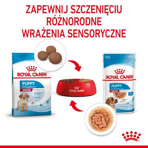 ROYAL CANIN SHN Medium Puppy in Sauce - Nassfutter für Welpen - 10x140g - Fotogalerie 4