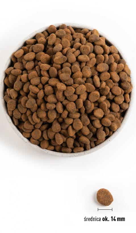 ORIJEN Regional Red - trockenfutter für Hunde - 6kg - Fotogalerie 2