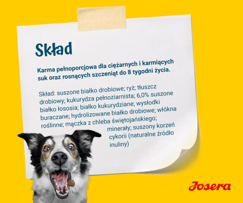 JOSERA Family Plus Puppy - trockenfutter für Hunde - 12,5kg - Fotogalerie 2