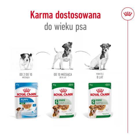ROYAL CANIN Mini Adult - nassfutter für Hunde - 12 x 85g - Fotogalerie 2
