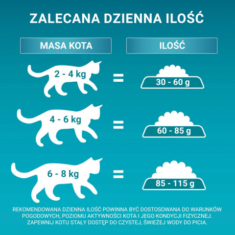 PURINA One Bifensis Adult - Trockenfutter für Katzen - 800 g - Fotogalerie 4