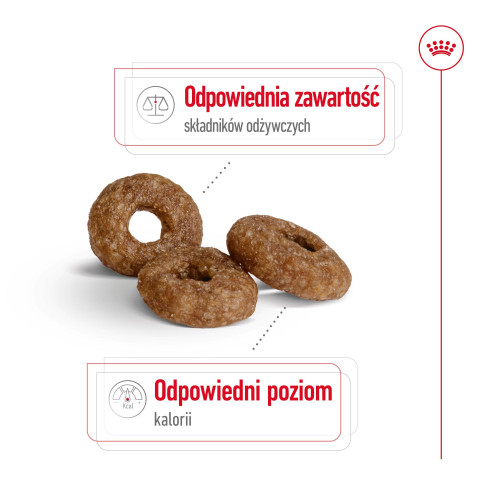 ROYAL CANIN Mini Ageing Adult +12 - Trockenfutter für Hunde - 3,5 kg - Fotogalerie 8