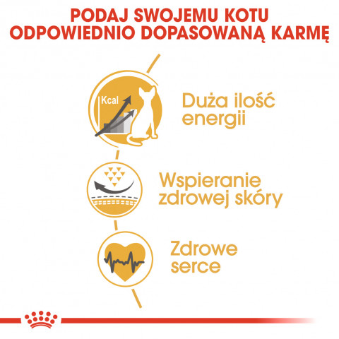 Royal Canin Sphynx Trockenfutter für Katzen 2 kg - Fotogalerie 8