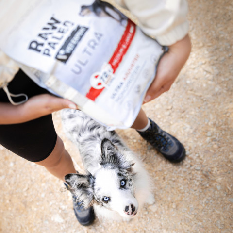 RAW PALEO Ultra Medium&Large Puppy Beef – Trockenfutter für Welpen – 10 kg - Fotogalerie 2