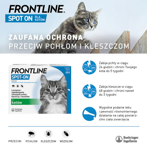 Frontline Spot-on Parasitentropfen für Katzen, 3 x 0,5 ml - Fotogalerie 4