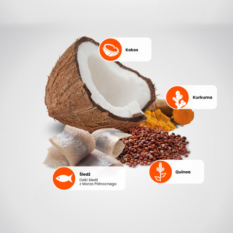 FARMINA N&D Quinoa Skin&Coat Cat Herring and Coconut Adult - Trockenfutter für Katzen - 300 g - Fotogalerie 12