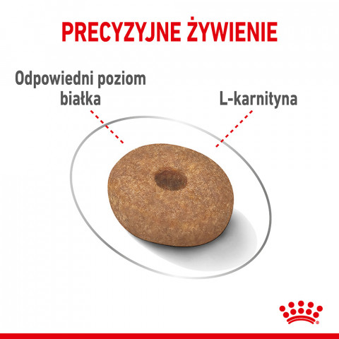 Royal Canin CCN MINI LIGHT WEIGHT CARE - Trockenfutter für ausgewachsene Hunde - 3kg - Fotogalerie 6