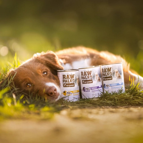 RAW PALEO Adult Monoprotein Turkey – Nassfutter für Hunde – 400 g - Fotogalerie 2