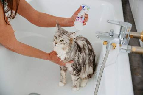 VIRBAC Allerderm Normal - shampoo für hunde und katzen - 250ml - Fotogalerie 3