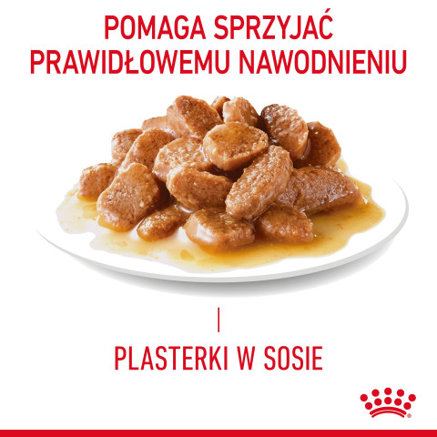 ROYAL CANIN Appetit Control Stücke in Sauce - Nassfutter für Katzen - 12 x 85g - Fotogalerie 8