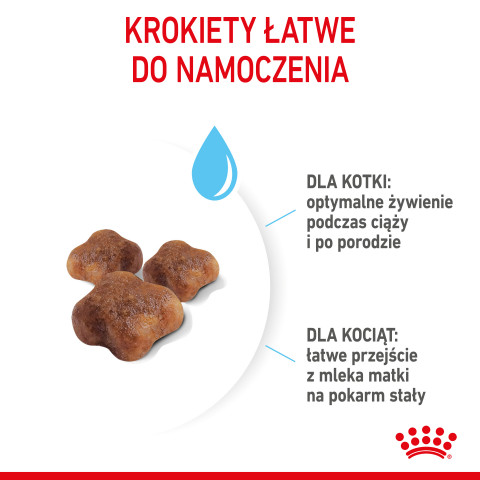 Royal Canin Mother & Babycat 34 Trockenfutter für Katzen 0,4 kg - Fotogalerie 7