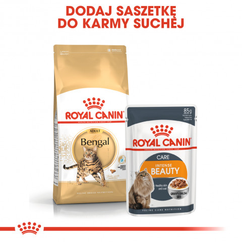 ROYAL CANIN FBN Bengal Adult - Trockenfutter für Katzen - 10kg - Fotogalerie 3