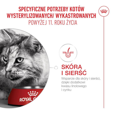 ROYAL CANIN Ageing 11+ Sterilised - trockenfutter für Katzen - 2kg - Fotogalerie 8
