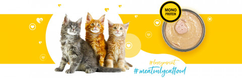 3COTY 33. Chicken Kitten - nassfutter für Katzen - 180g - Fotogalerie 4