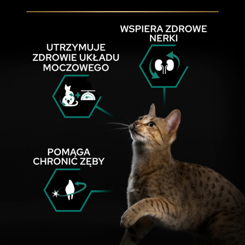 PURINA Pro Plan Sterilised Renal Turkey - trockenfutter für Katzen - 400g - Fotogalerie 6