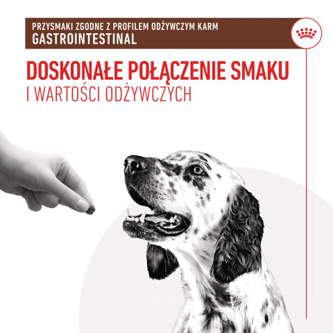 ROYAL CANIN Dog Gastrointestinal Treats - leckerli für hunde - 230g - Fotogalerie 8
