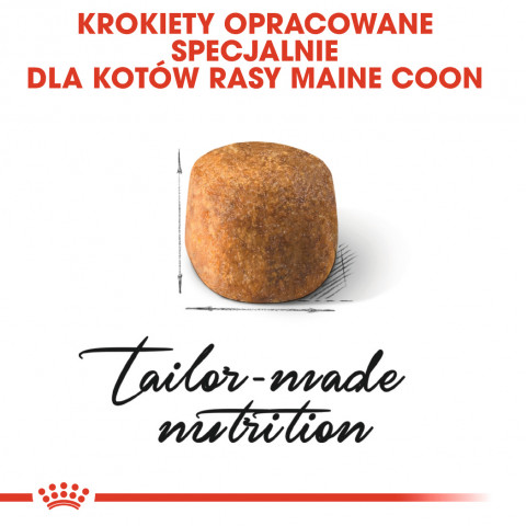 Royal Canin FBN Maine Coon Adult - Trockenfutter für ausgewachsene Katzen - 4kg - Fotogalerie 3