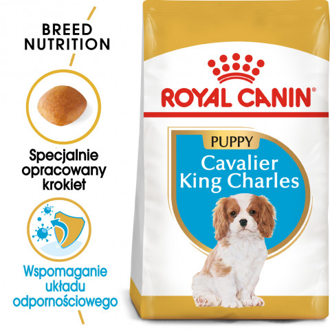 Royal Canin BHN Cavalier King Charles Spaniel Puppy - Trockenfutter für Welpen - 1,5 kg - Fotogalerie 9